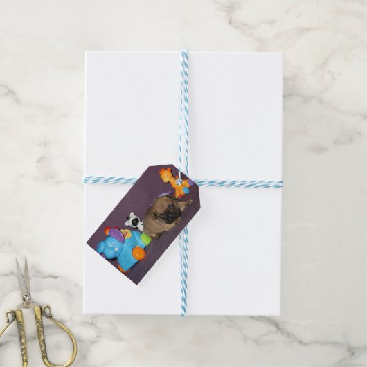 französische Bulldogge Spielzeug French Bulldog Cadeaulabel (Met Touw)