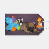 französische Bulldogge Spielzeug French Bulldog Cadeaulabel (Voorkant (Horizontaal))