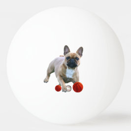 Französische Bulldogge Sprung French Bulldog Pingpongballen
