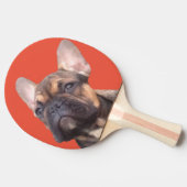 Französische Bulldogge Tafeltennisbatje (Zijkant)