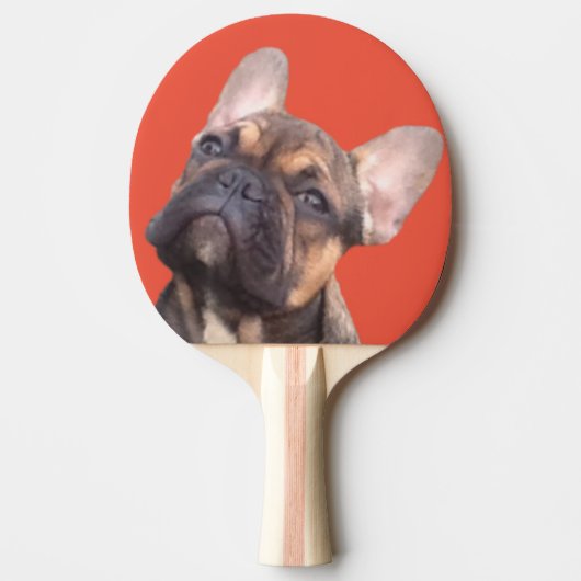 Französische Bulldogge Tafeltennisbatje (Voorkant)