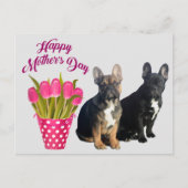 französische Bulldogge Tulpen French Bulldog Briefkaart (Voorkant)