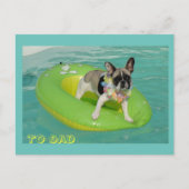 Französische Bulldogge Urlaub French Bulldog Briefkaart (Voorkant)