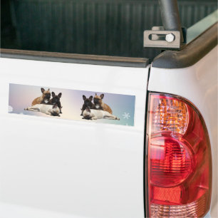 Französische Bulldoggen Autoaufkleber Bumpersticker