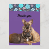 französische Bulldoggen Dankeschön French Bulldog Briefkaart (Voorkant)