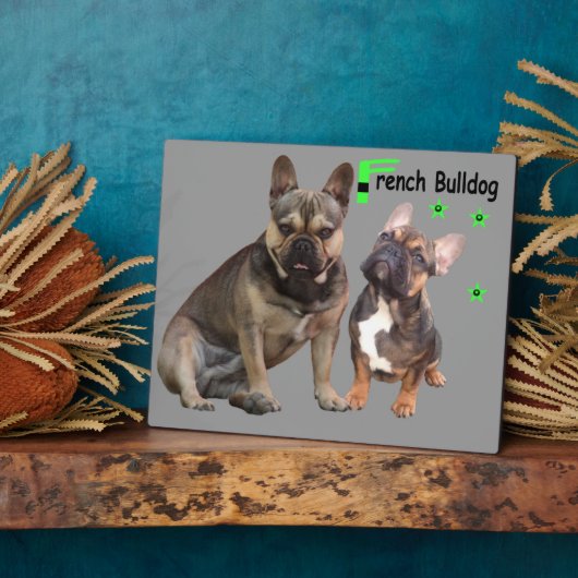 Französische Bulldoggen Fotoplaat (Zijkant)