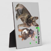 Französische Bulldoggen Fotoplatte Fotoplaat (Zijkant)