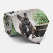 Französische Bulldoggen Freunde French Bulldog Stropdas (Opgerold)