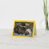 Französische Bulldoggen Grußkarte Ostern Kaart (Voorkant)