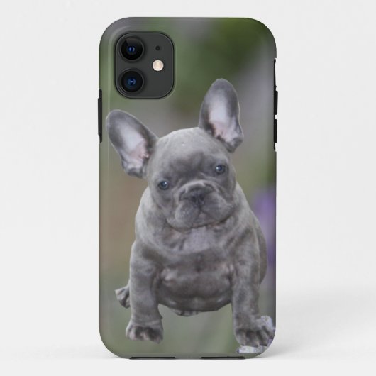 Französische Bulldoggen IPhone 11 Pad Hülle Case-Mate iPhone Case (Achterkant)