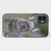 Französische Bulldoggen IPhone 11 Pad Hülle Case-Mate iPhone Case (Achterkant (horizontaal))