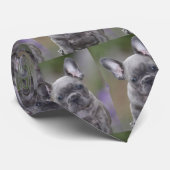 Französische Bulldoggen Krawatte Stropdas (Opgerold)