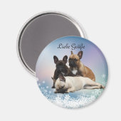 Französische Bulldoggen Magnet Magneet (Voorkant / Achterkant)