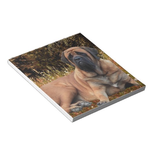 Französische Bulldoggen Mastiff Notizblock Notitieblok (Schuin)