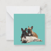  französische Bulldoggen Mitteilungskarte Notitiekaartje (Achterkant)