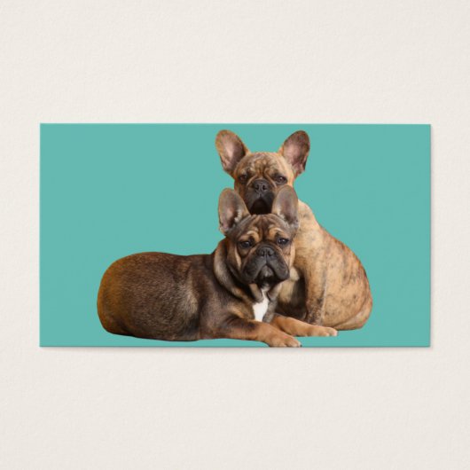 Französische Bulldoggen Visitenkarten Visitekaartje (Voorkant)