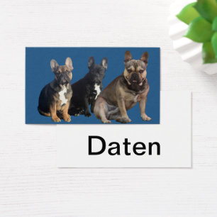 Französische Bulldoggen Visitenkarten Visitekaartje