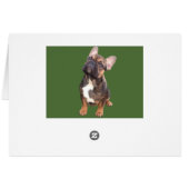 Französische Bulldoggen Weihnachtskarte (Achterkant Horizontaal)