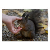 frapper un écureuil (Devant horizontal)