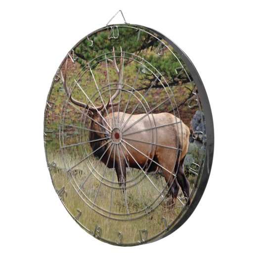 FRAPPEZ la Cible de flechettes d'élans (Devant droit)