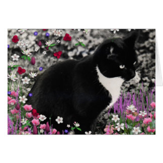 Frapules en Fleurs II - Tuxedo Cat