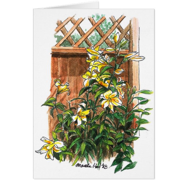 Frassenslieren (Voorkant)