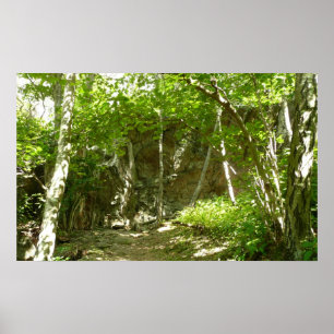 Frazier Discovery Trail in Shenandoah-fotografie Poster
