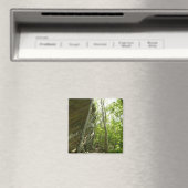 Frazier Rock Wall in Shenandoah National Park Magneet (Insitu (Vaatwasser))