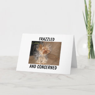 FRAZZLED EN BEZORGD KAART
