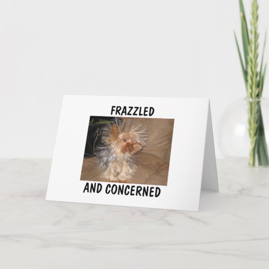 FRAZZLED EN BEZORGD KAART (Voorkant)