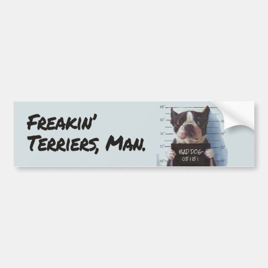 Freakin' Terriers, Man. Bumpersticker (Voorkant)