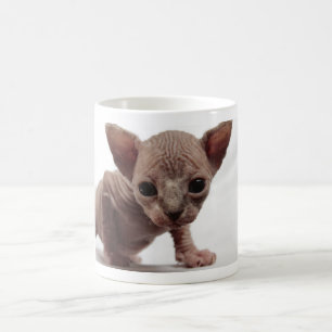 Freaky Cute Furless Sphynx Kitten Koffiemok