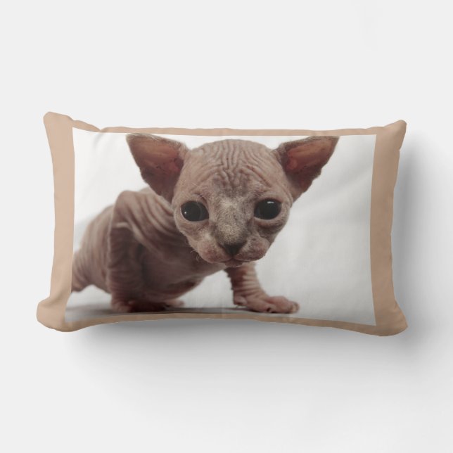 Freaky Cute Furless Sphynx Kitten Kussen (Voorkant)