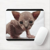 Freaky Cute Furless Sphynx Kitten Muismat (Met muis)