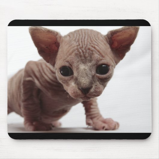 Freaky Cute Furless Sphynx Kitten Muismat (Voorkant)