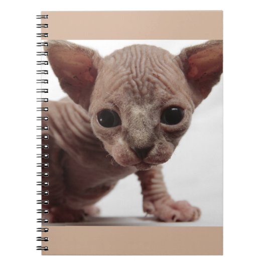 Freaky Cute Furless Sphynx Kitten Notitieboek (Voorkant)