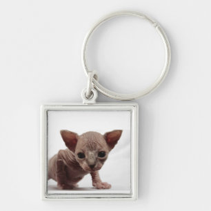 Freaky Cute Furless Sphynx Kitten Sleutelhanger