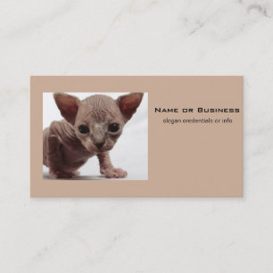 Freaky Cute Furless Sphynx Kitten Visitekaartje