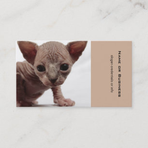 Freaky Cute Furless Sphynx Kitten Visitekaartje