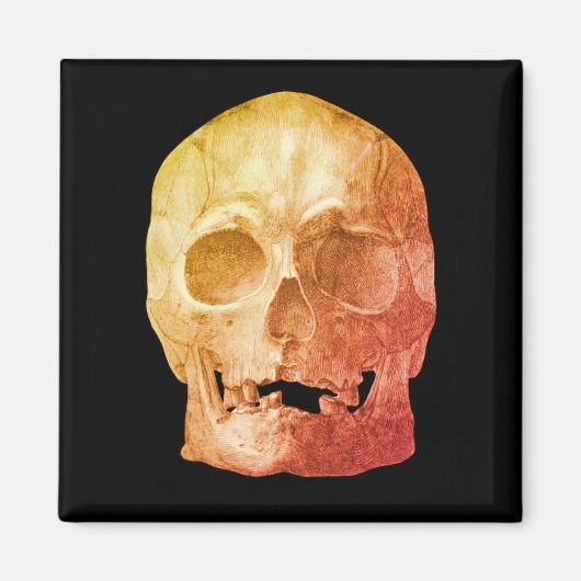 Freaky Skull Magnet Magneet (Voorkant)