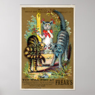 Frears Cat Trade Card #3 (van 6) Poster