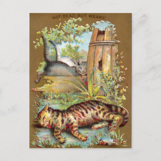 Frears Cat Trade Card #5 (van 6) Briefkaart (Voorkant)