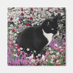 Freckles in Flowers II Magnet - Tuxedo Cat Magneet