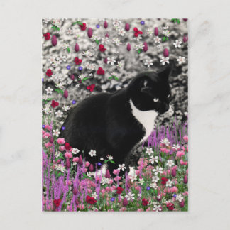 Freckles in Flowers II - Tuxedo Cat Briefkaart