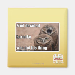Fred beslist magneet