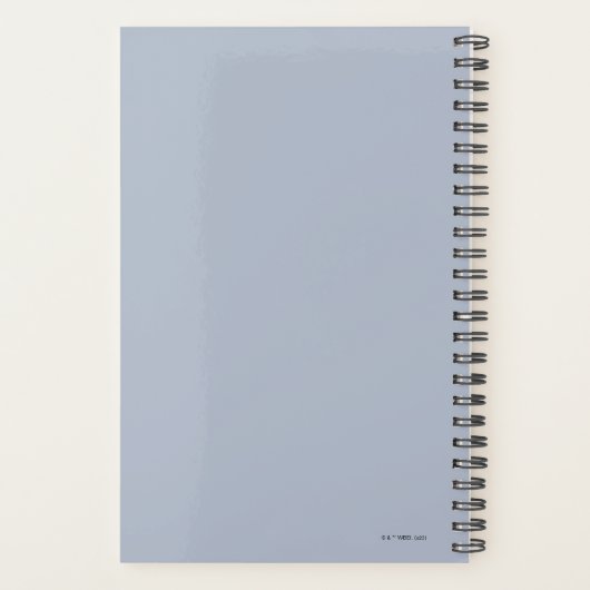 Fred en George bij Weasley's Wizard Wheezes Planner (Achterkant)