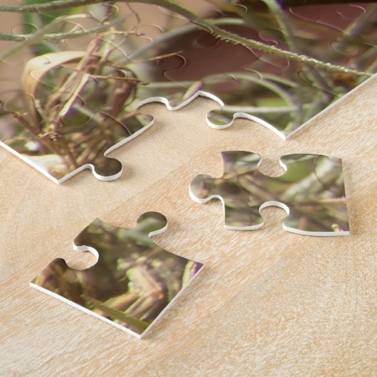 Fred le bébé cardinal — puzzle (Côté)