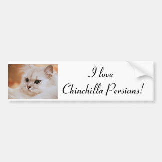 Freddie ~ Chinchilla Persians Bumpersticker