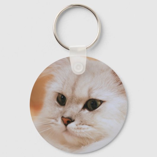Freddie ~ Chinchilla Persians Sleutelhanger (Voorkant)