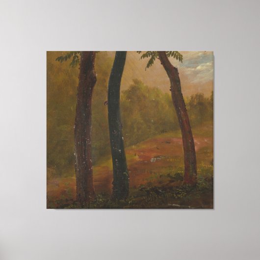Frederic Edwin Church - Boslandschap Canvas Afdruk (Voorkant)